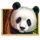 bamboo rush 1 icon