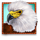 betsoft stampede 3 icon