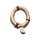 primal hunt 10 icon