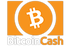 Bitcoin Cash