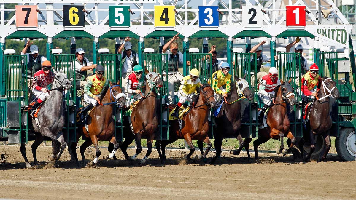 horse race starting gate